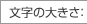 文字の大きさ